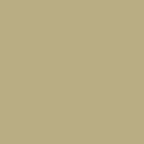 cuadrado-color-chino.png